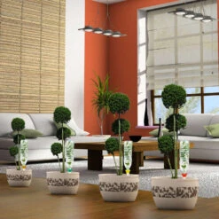 Cône D'Arrosage D'absence : Jusqu'à 25 Cm 7 Cl - S, Orange - Pack 3+1 -AONA Gardena Magasin 177127 008