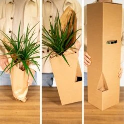 Tillandsia Et Son Support En Cube - H35cm, ø20cm - Plante D'intérieur Tombante 9 Tillandsia Et Son Support En Cube - H35cm, ø20cm - Plante D'intérieur Tombante -AONA Gardena Magasin 1d4ca7b43168e807