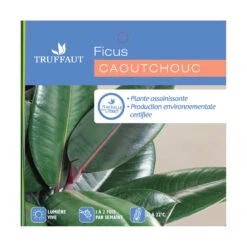 Caoutchouc : 3 Pieds Pot -AONA Gardena Magasin 28705 001