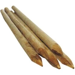 Tuteur Fraisé, En Bois L. 250 Cm