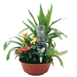 Cône D'Arrosage D'absence : Jardinière Violet - Pack 3+1 (gratuit) -AONA Gardena Magasin 366821 004