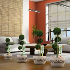 Cône D'Arrosage D'absence : Jardinière Violet - Pack 3+1 (gratuit) -AONA Gardena Magasin 366821 006