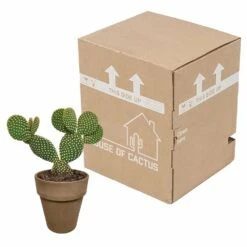 Opuntia Microdasys Et Son Cache-pot Marron - H40cm, ø17cm - Plante D'intérieur 7 Opuntia Microdasys Et Son Cache-pot Marron - H40cm, ø17cm - Plante D'intérieur -AONA Gardena Magasin 48d55715481eec9b