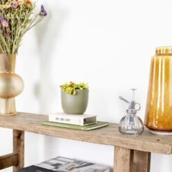 Dionaea Muscipula – Plante Carnivore – Peu D'entretien – ⌀12 Cm – ↕10-15 Cm 7 Dionaea Muscipula – Plante Carnivore – Peu D'entretien – ⌀12 Cm – ↕10-15 Cm -AONA Gardena Magasin 640b20a5e78e48.00125916