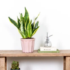 AONA Gardena Magasin 27 AONA Gardena Magasin -AONA Gardena Magasin 640b7892a30470.84983856