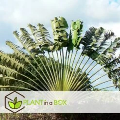 AONA Gardena Magasin 6 AONA Gardena Magasin -AONA Gardena Magasin 6459514a528798.06132902