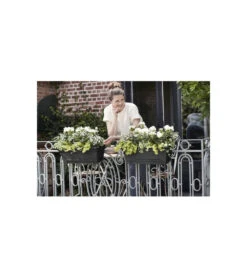 Elho Balconniere Green Basics Allin1 55 - Extérieur & Balcon - Xl - L 32,3 X W 56,4 X H 22,7 Cm - Vivre Noir -AONA Gardena Magasin 645cf56390dbb6.90868122