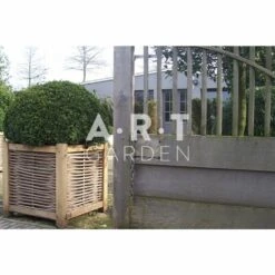 Jardinière En Chêne Avec Tressage Noisetier - Avec Bac Intérieur - 60 X 60 X 60 Cm -AONA Gardena Magasin 64651e91e89608.28364745