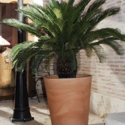 Pot De Fleurs Gerbera ø50x59,5cm - Couleur Terracota -AONA Gardena Magasin 6478c7f37132f4.43209447