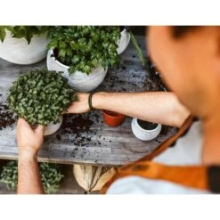 Ensemble De Pot De Fleurs Boule Nature Rib Ivoire -AONA Gardena Magasin 647989580b9a73.15976292