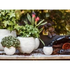 Ensemble De Pot De Fleurs Boule Nature Rib Ivoire -AONA Gardena Magasin 64798958102562.13059952