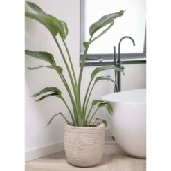 Pot à Fleurs Waste Rib 43x41 Cm Beige Terrazzo 10 Pot à Fleurs Waste Rib 43x41 Cm Beige Terrazzo -AONA Gardena Magasin 6479895e5992f2.75165785