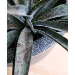 Pot à Fleurs Waste Smooth 35x34 Cm Gris -AONA Gardena Magasin 6479895f3d13c8.20407758