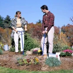 Mini Griffe Doré -AONA Gardena Magasin 6480d36cdb0728.04410384