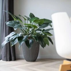 Vase élégant Groove 46x58 Cm Anthracite -AONA Gardena Magasin 6482c45ae14806.82498096