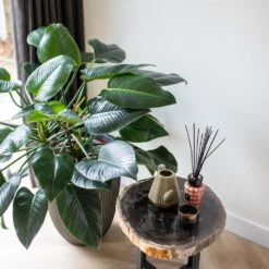 Vase élégant Groove 46x58 Cm Anthracite -AONA Gardena Magasin 6482c45ae4ed23.22651179