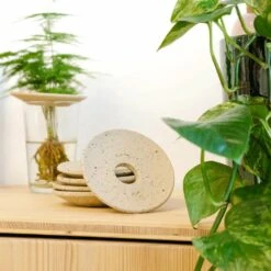 Coupelle D'hydroculture -AONA Gardena Magasin 648761292b6a81.51148422