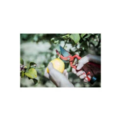 Sécateur à Main En Acier Bellota - 25mm - 350523 -AONA Gardena Magasin 648b4e431e6c58.16868914