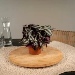 AONA Gardena Magasin 24 AONA Gardena Magasin -AONA Gardena Magasin abd6482b058aeed7